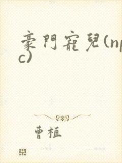 豪门宠儿(npc)