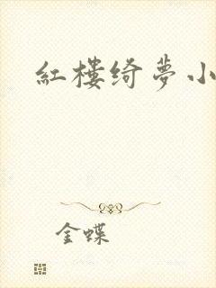 红楼绮梦小说