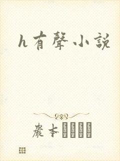 h有声小说封面