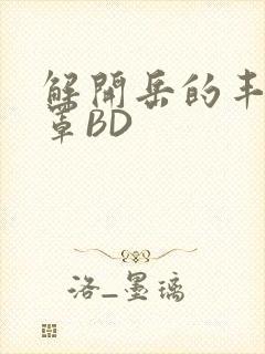 解开岳的丰满奶罩BD封面