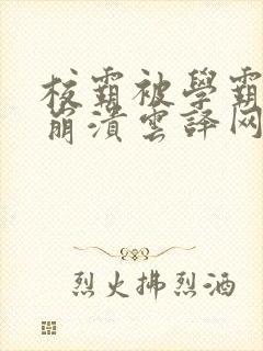 校霸被学霸玩到崩溃云译网