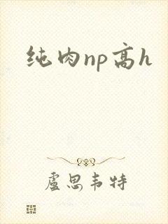 纯肉np高h
