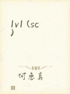 1v1 (sc)封面