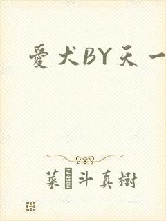 爱犬BY天一