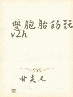双胞胎的玩具1v2h封面