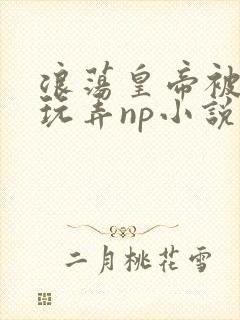 浪荡皇帝被多人玩弄np小说封面