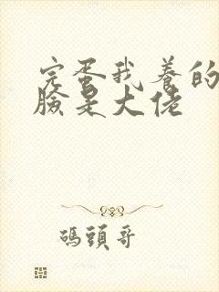 完蛋我养的小白脸是大佬封面