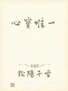 心宝唯一