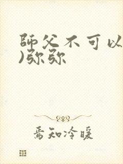 师父不可以(限)弥弥封面