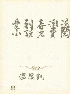 爱到春潮滚滚来小说免费阅读