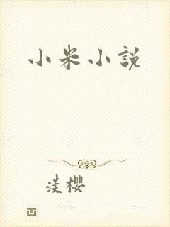 小米小说