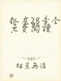 抓灰28章全部免费阅读