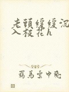 老头缓缓沉腰进入校花h