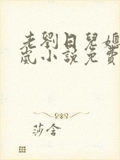 老刘日儿媳妇张岚小说免费阅读