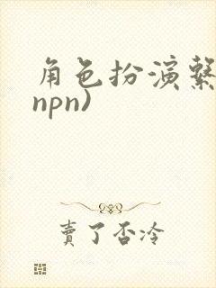 角色扮演系统(npn)