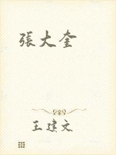 张大奎封面