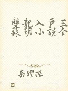 双龙入户三人行苏玥小说全文阅读封面