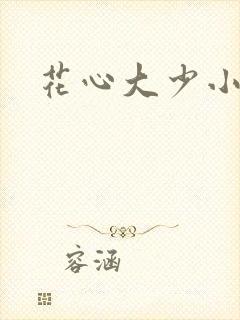 花心大少小说封面