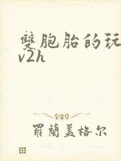 双胞胎的玩具1v2h