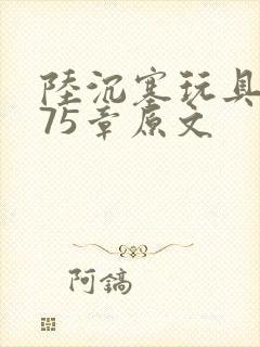 陆沉塞玩具高速75章原文封面