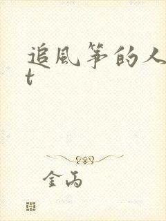 追风筝的人txt