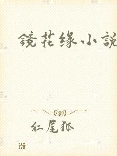 镜花缘小说