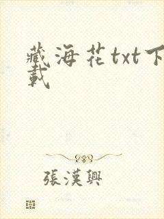 藏海花txt下载