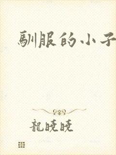 驯服的小子4