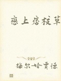 恋上痞校草