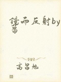 镜面反射by九葛
