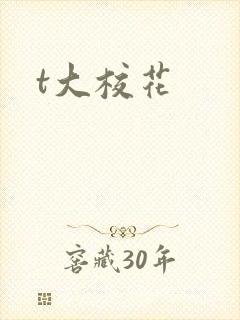 t大校花
