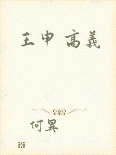 王申 高义