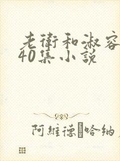 老卫和淑容1-40集小说