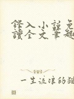 锋入小说免费阅读全文笔趣阁