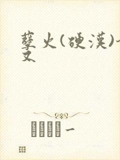 孽火(硬汉)今又封面