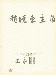 赵晓东主角小说