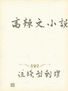高辣文小说封面