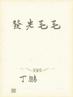 发光毛毛