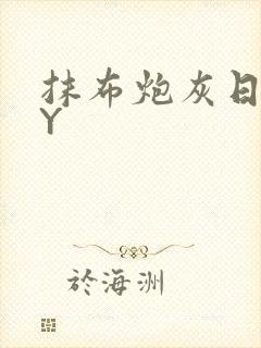 抹布炮灰日记BY封面