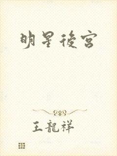明星后宫