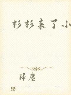 杉杉来了小说封面