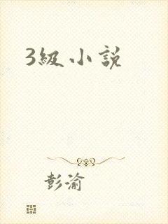 3级小说封面