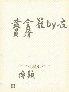 黄金笼by夜很贫瘠封面