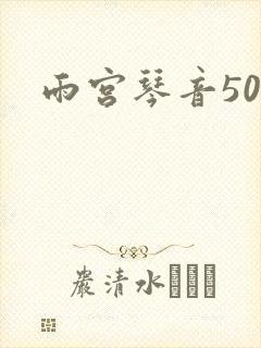 雨宫琴音500