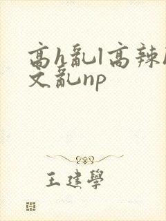 高h乱l高辣h文乱np