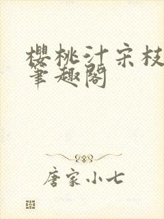 樱桃汁宋枝江野笔趣阁