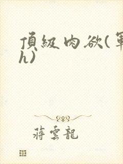 顶级肉欲(军高h)
