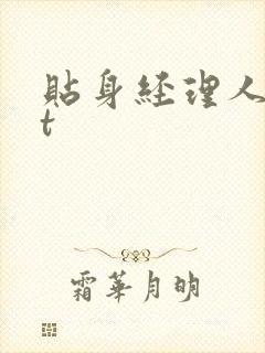 贴身经理人txt