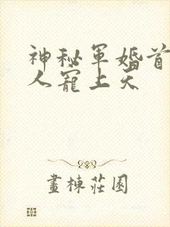 神秘军婚首长大人宠上天
