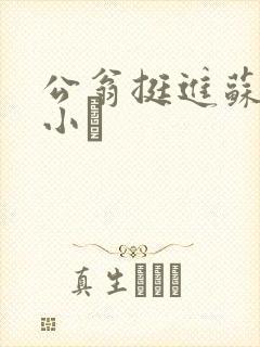 公翁挺进苏玥的小泬封面